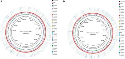Comparative Genomics of Methanopyrus sp. SNP6 and KOL6 Revealing Genomic Regions of Plasticity Implicated in Extremely Thermophilic Profiles